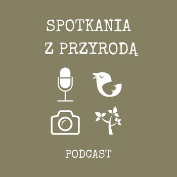 #21 Marcin "z Lasu" Kostrzyński o naszej przyrodzie, prawach Natury i ekologicznym filmowaniu - Spotkania z przyrodą - podcast - Stanecki Michał