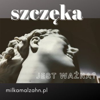 #216 Szczęka jest ważna - Dziennik Zmian - podcast - Malzahn Miłka