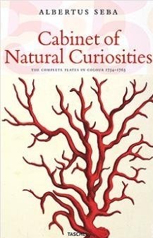 セバ著　Cabinet of Natural Curiosities25th CABINET OF NATURAL CURIOSITIES by Albertus Seba Nature