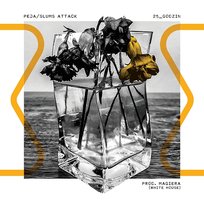 25_godzin (prod. Magiera) Peja Slums Attack