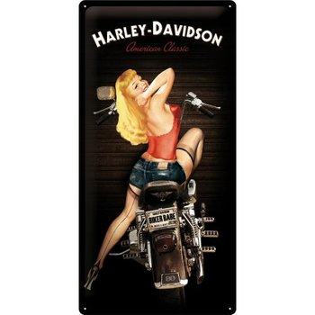 27016 Plakat 25 x 50cm Harley-Davidson B - Nostalgic-Art Merchandising Gmb