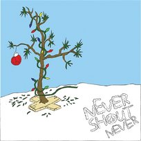 30 Days Never Shout Never