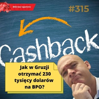 #315 Jak w Gruzji otrzymać 230 tysięcy dolarów na BPO? - BSS bez tajemnic - podcast - Doktór Wiktor