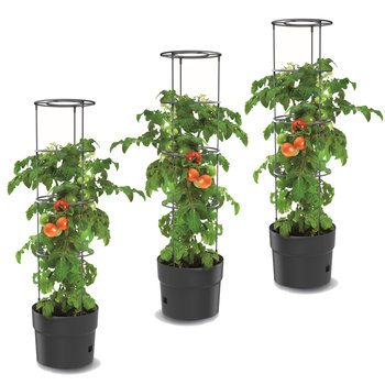 3x Donica pomidory truskawki fasola ogórki 35 cm - Botle
