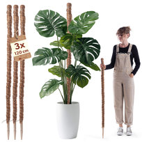 3x Podpora Do Roślin Kwiatów 120cm Palik Kokosowy 4,5 Tyczka Pałka Monstery