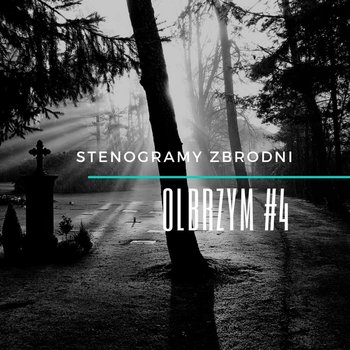 #4 Olbrzym - Stenogramy zbrodni - podcast - Wielg Piotr
