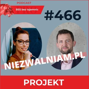 #466 niezwalniam.pl – projekt, który może zmienić rynek pracy - BSS bez tajemnic - podcast - Doktór Wiktor