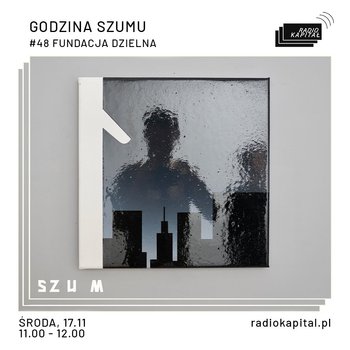 #48 Fundacja Dzielna (Rafał Bujnowski, Agnieszka Tarasiuk) - Godzina Szumu - podcast - Plinta Karolina