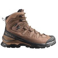 491385 Salomon