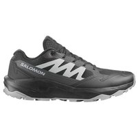 492287 Salomon