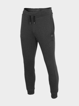 4F, Spodnie dresowe joggery męskie, H4Z22-SPMD350, Szary, Rozmiar M  - 4F