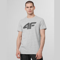 4F, T-Shirt, H4Z22-TSM353 27M, szary, M 4F