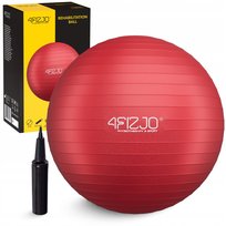 4FIZJO Piłka gimnastyczna 55CM