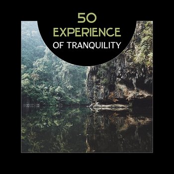 50 Experience of Tranquility – Deep State of Relaxation, Health and Well-Being, Beauty of Nature Sounds in Spa, Anxiety Free, Combat Insomnia with Yoga Nidra, Meditation - Calm Music Zone