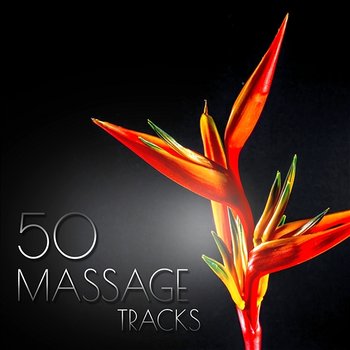 50 Massage Tracks: Asian Music, Restful, Waves, Thai Massage, Music for Spa, Stress Relief - Tranquility Spa Universe