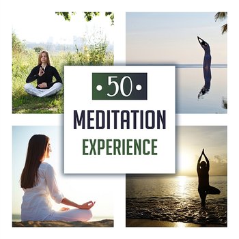 50 Meditation Experience: Relaxing Zen Track for Mindfulness Training, Yoga Class, Stress Relief, Deep Sleep, Anxiety Free, Finding Inner Peace - Various Artists