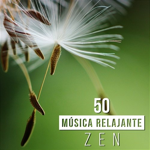 50 Música Relajante Zen: Música de Ambiente para Yoga y