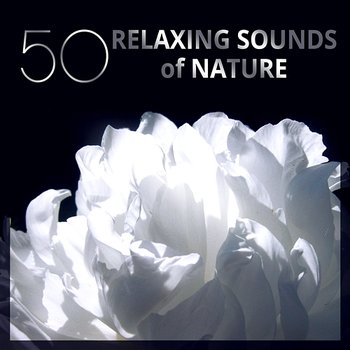 50 Relaxing Sounds of Nature: Peaceful Music for Spa Treatments, Asian Yoga Meditation, Massage & Stress Release - Home SPA Collection