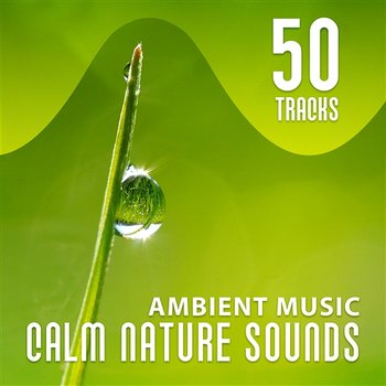 50 Tracks: Ambient Music, Calm Nature Sounds: Therapy Session - Serenity Instrumental New Age with Falling Rain, Relaxing Ocean Waves, Birds & Forest - Calm Music Zone