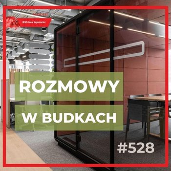 #528 O Kabinach Akustycznych w duecie z Mateuszem Siwiaszczykiem - BSS bez tajemnic - podcast - Doktór Wiktor