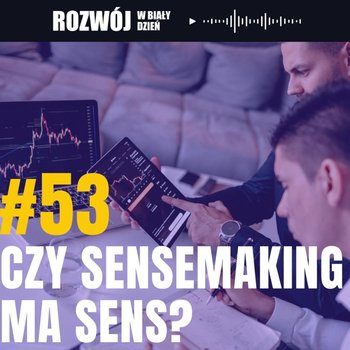 #53 Czy sensemaking ma sens? - Rozwój w Biały Dzień - podcast - Kurcewicz Żaneta
