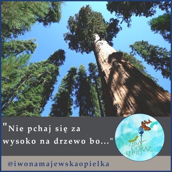 #585 ”Nie pchaj się za wysoko na drzewo bo...” - Żyjmy Coraz Lepiej - podcast - Kniat Tomek, Majewska-Opiełka Iwona
