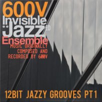 600V Invisible Jazzed Ensemble DJ 600 Volt