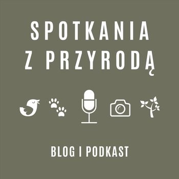 #61 061 - Marta i Tomek - Pszczoły, Pasieka, Przyroda - podcast - Stanecki Michał