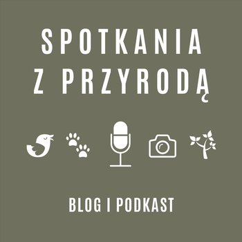 #62 Michał Ludwiczak - Jak zrobić "dobre zdjęcie" - Spotkania z przyrodą - podcast - Stanecki Michał