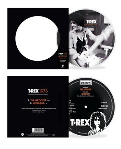 7-Groover / Midnight, płyta winylowa - T. Rex
