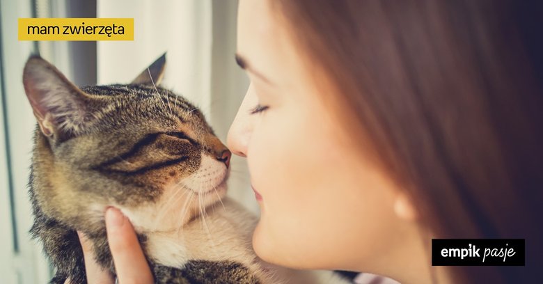 7 oznak, że twój kot cię kocha, czyli jak koty okazują miłość?