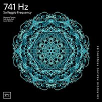 741 Hz Full Body Detox Miracle Tones & Solfeggio Healing Frequencies MT