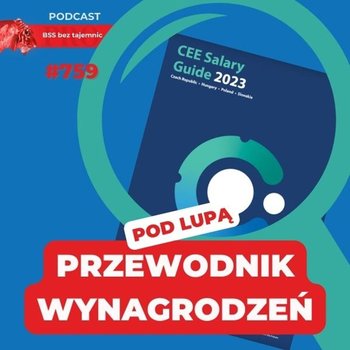 #759 Co CPL opisał w przewodniku po wynagrodzeniach dla regionu CEE? - BSS bez tajemnic - podcast - Doktór Wiktor