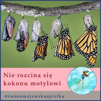 #883 Nie rozcina się kokonu motylowi - Żyjmy Coraz Lepiej - podcast - Majewska-Opiełka Iwona, Kniat Tomek
