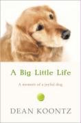A Big Little Life - Koontz Dean