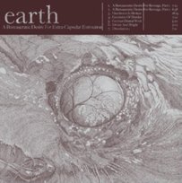 A Bureaucratic Desire Earth