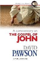 A Commentary on the Gospel of John - Pawson David
