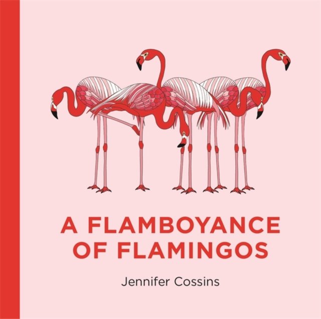 A Flamboyance Of Flamingos - Jennifer Cossins | Książka W Sklepie EMPIK.COM