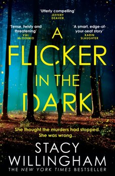 A Flicker in the Dark - Willingham Stacy