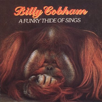 A Funky Thide Of Sings - Billy Cobham
