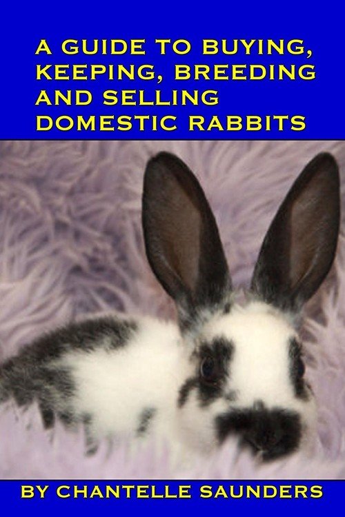 A Guide to Buying, Keeping, Breeding and Selling Domestic Rabbits Saunders Chantelle Książka
