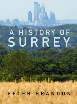 A History of Surrey - Peter Brandon