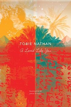 A Land Like You - Tobie Nathan