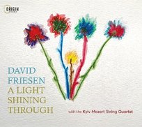 A Light Shining Through Friesen David