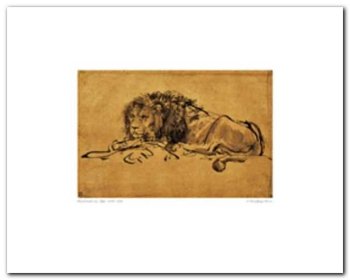 A Lion Lying Down plakat obraz 50x40cm - Wizard+Genius