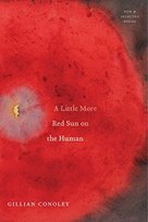 A Little More Red Sun on the Human: New & Selected Poems - Gillian