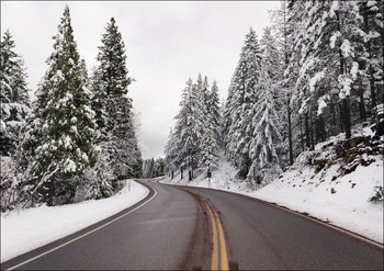 A living snow globe scene and winter wonderland, created by a sudden mountain blizzard along California Highway 36., Carol Highsmith - plakat 100x70 cm - Galeria Plakatu
