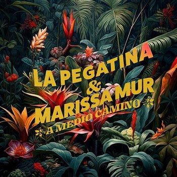 A medio camino - La Pegatina, Marissa Mur