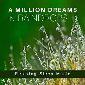 A Million Dreams in Raindrops: Relaxing Sleep Music, Cure for Insomnia, Soothing Sounds of Nature for Deep Meditation, Healing Rain for Rest - Deep Sleep Music Maestro