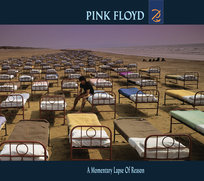 A Momentary Lapse of Reason Pink Floyd